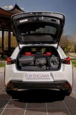 Lexus UX250h F-Sport Engawa 2019 года (ES)
